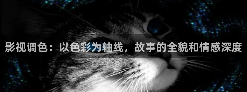 奇米在线手机观看视频