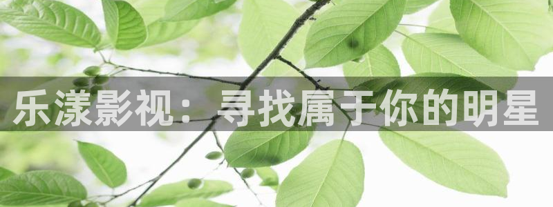 奇米在线视频999：乐漾影视：寻找属于你的明星