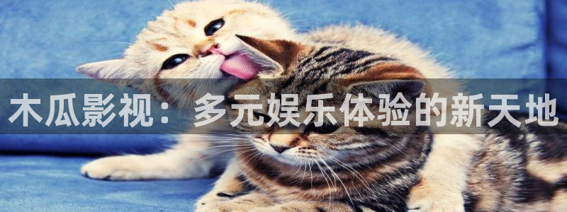 奇米在线视频8888：木瓜影视：多元娱乐体验的新天地